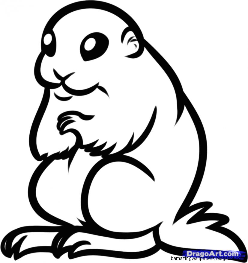 How to Draw a Prairie Dog Step by Step Great Plain animals How to Draw a Prairie Dog Step by Step Great Plain animals
