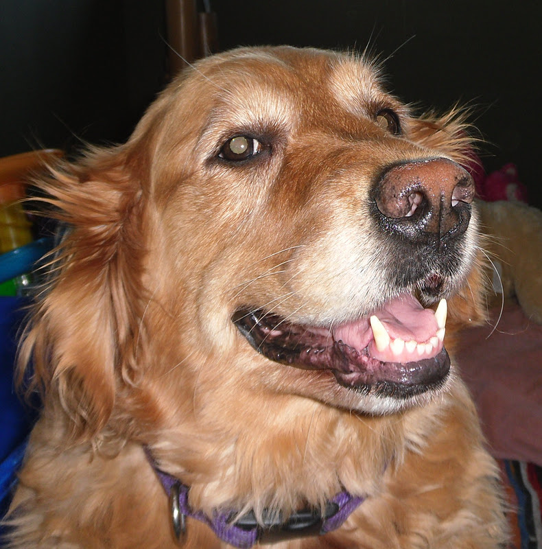 STARDREAMING With Sherry Blue Sky Batting Her Eyelashes