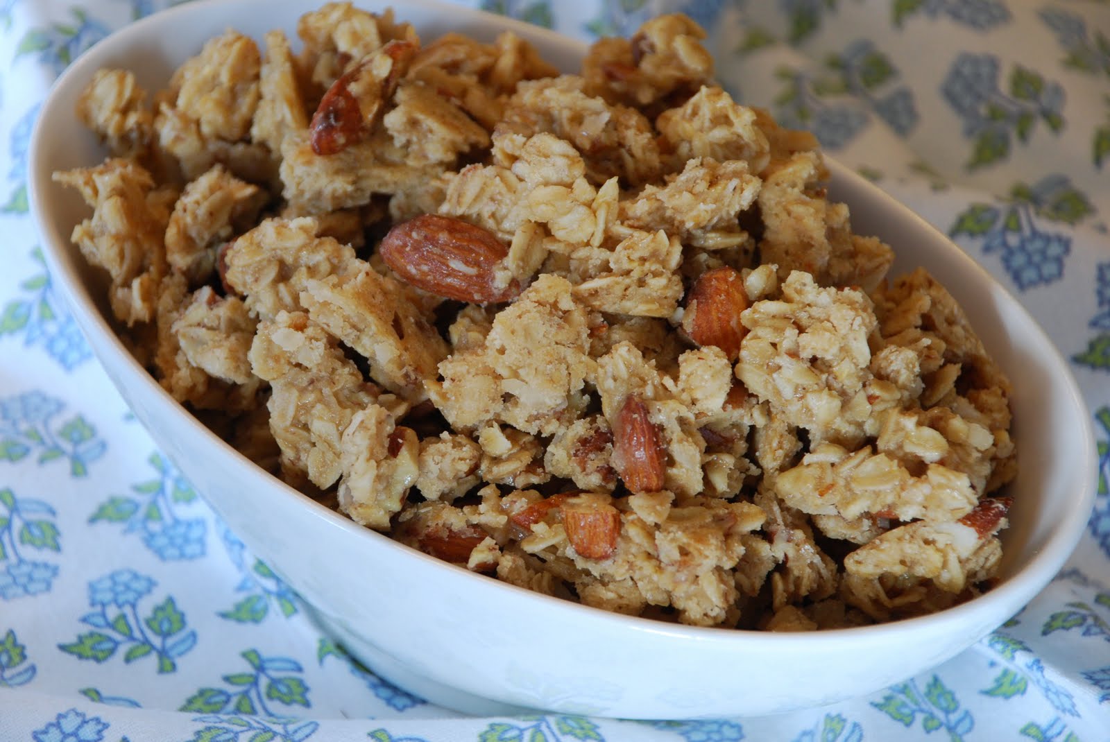 Everyday Insanity... Nutty Granola Clusters