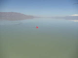 Planer Board Walleye Fishing Utah Lake