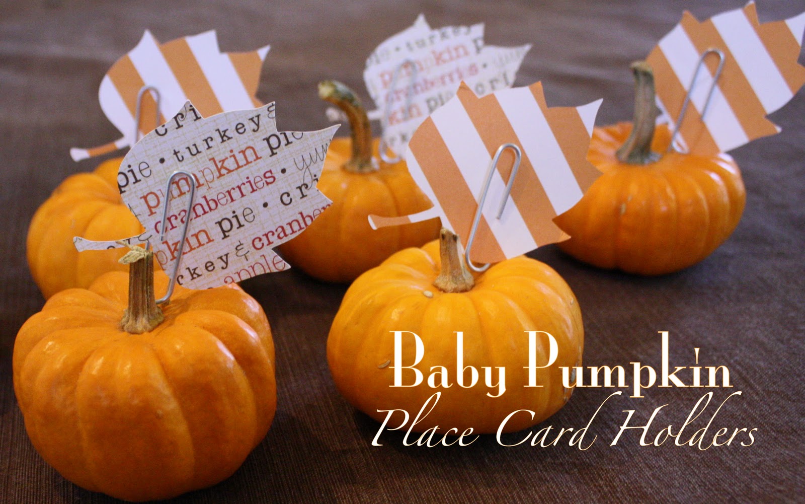 52 Mantels Mini Pumpkin Place Card Holders