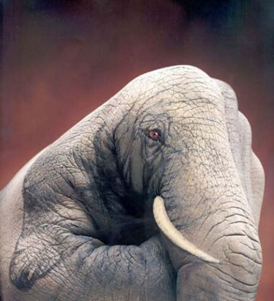 hand painting art