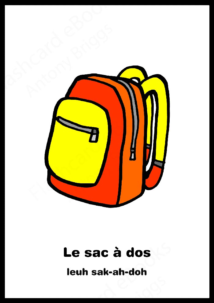 Flashcard Books Learn French Vocabulary English/French Flashcards