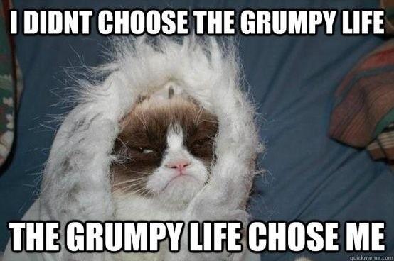 Grumpy Cat: Grumpy Life