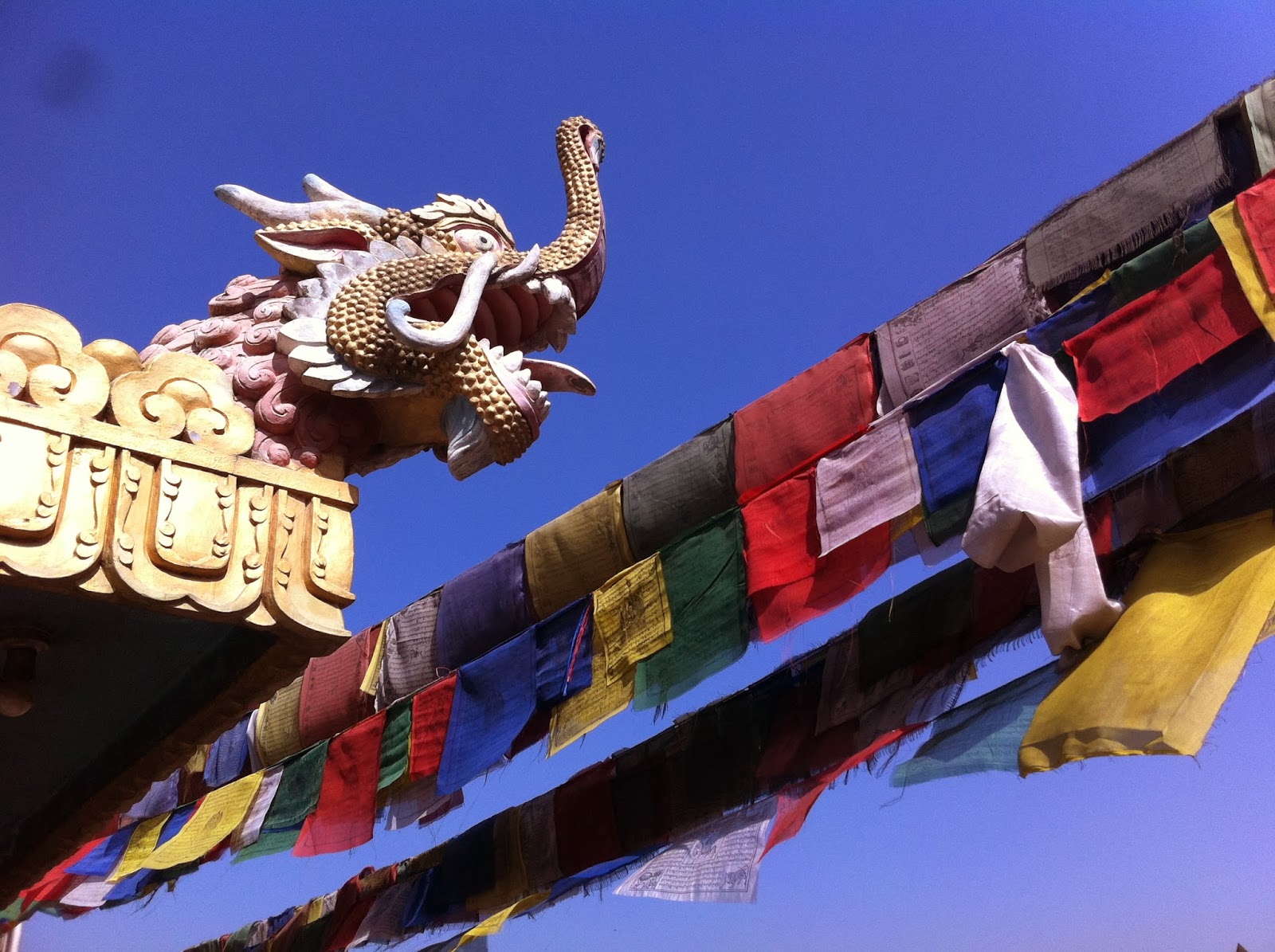 El Primico se va a la India