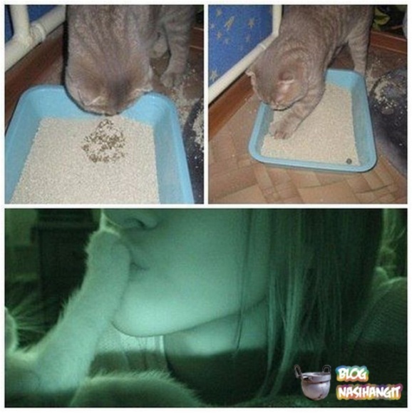 Cium Kaki