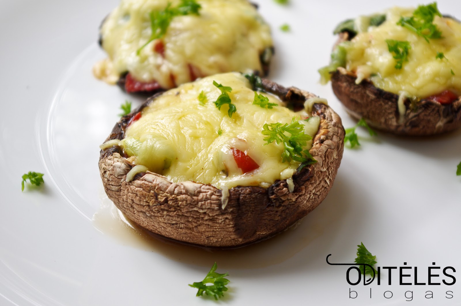 Oditėlės blogas ĮDARYTI PORTABELLA PIEVAGRYBIAI