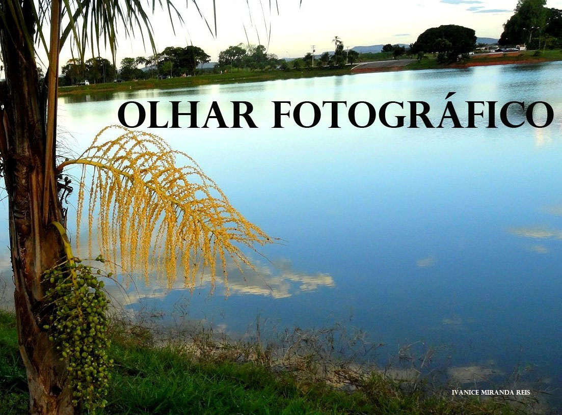 OLHAR FOTOGRÁFICO