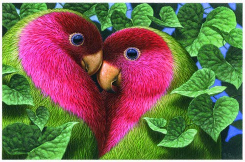 best lovely birds wallpapers free download pc online fun