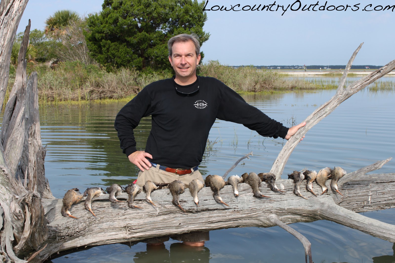 Lowcountry outdoors Marsh Hen early season report