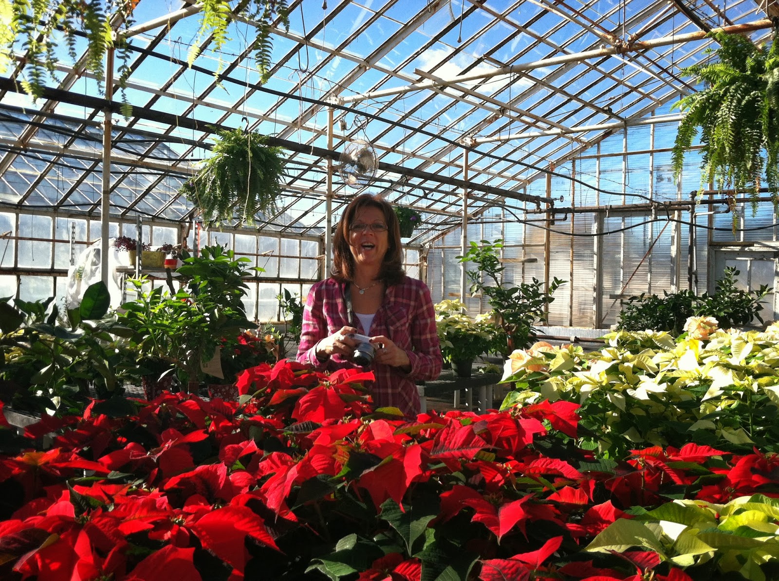 PALS Plein Air Limner Society Bayport Flower House 11/19/13