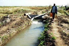 Chineses vão explorar 20 mil hectares em Xai-Xai