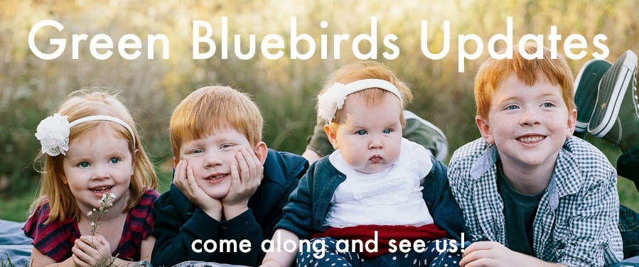 Green Bluebirds Updates