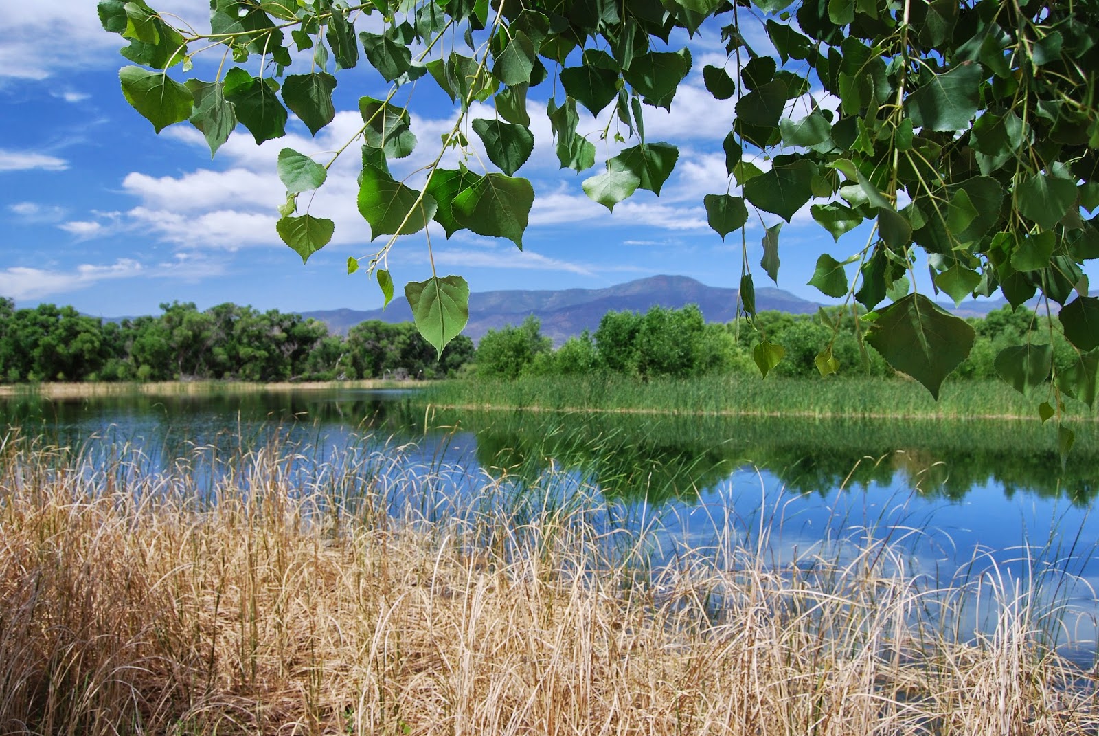Arizona Hiking AZ State Parks OPEN during government shutdown