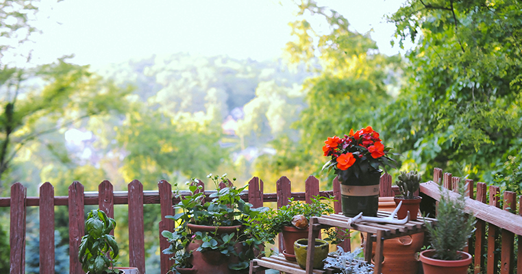 a new bloom - diy and craft projects, home interiors, style and recipes