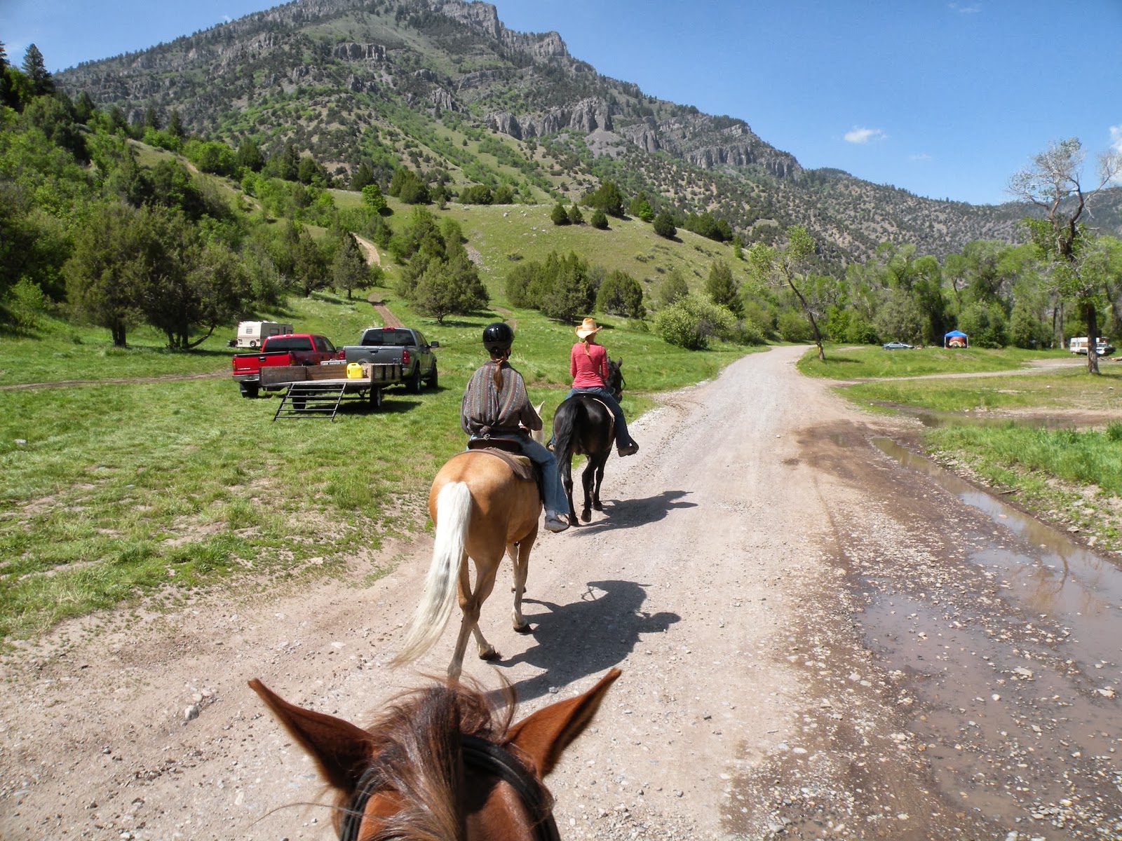 Dream Packer Trail Adventures Blacksmith Fork Canyon, Utah