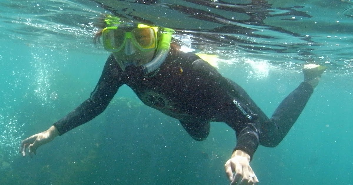 DISCOVER GOAT ISLAND PADI SNORKELLING CERTIFICATE