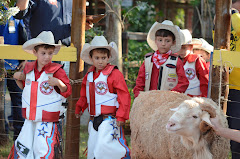 OLHA O CARNEIRO!...