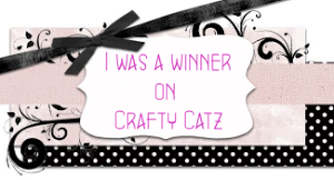 5 x Crafty Catz Winner