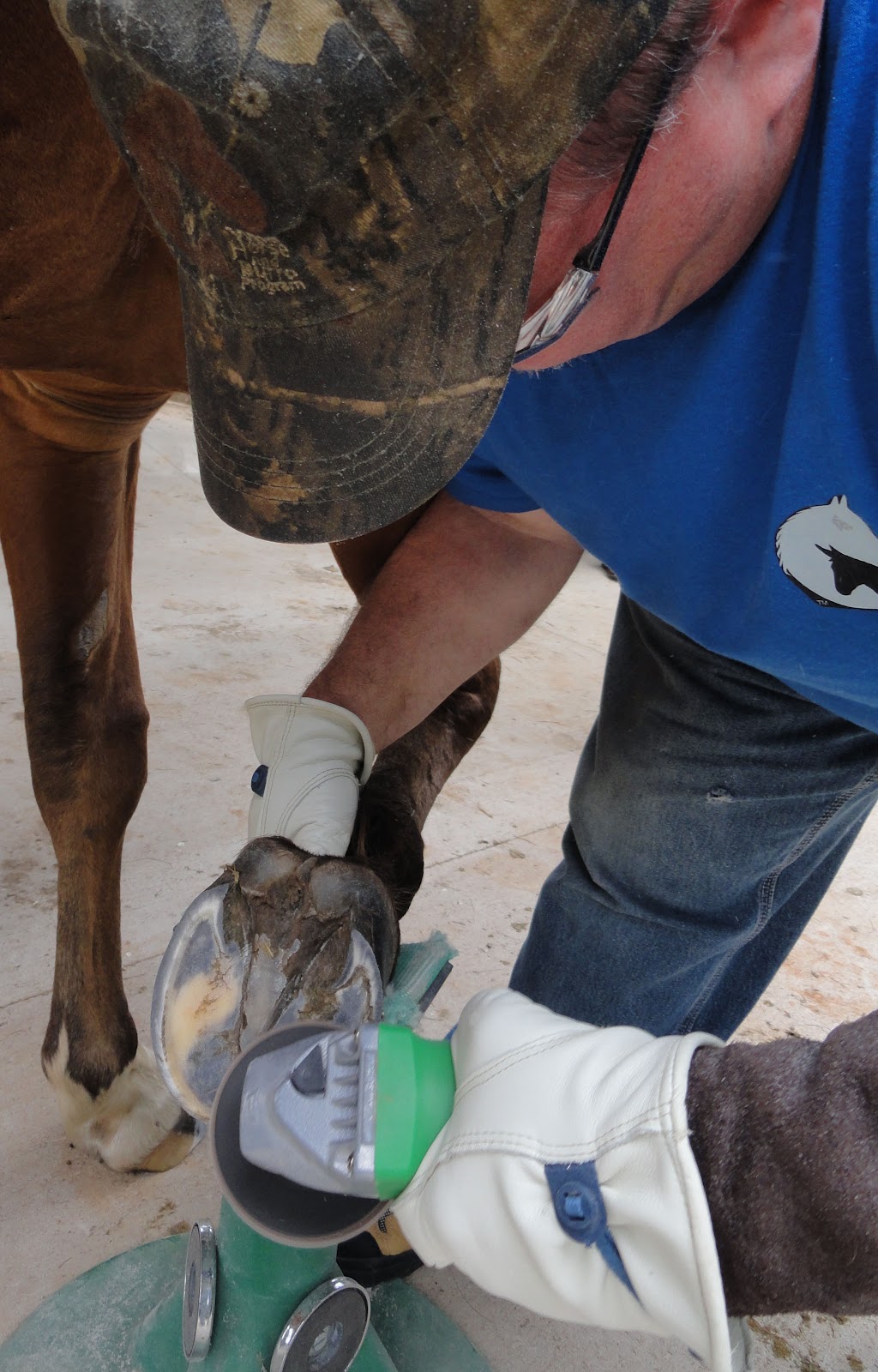 Mustang Dreams.... Trimming hooves with an angle grinder...