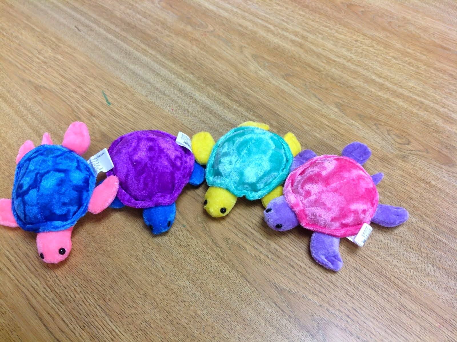 Colorful Turtles