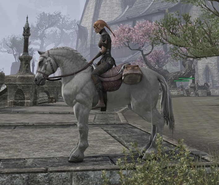 horse+lvl+20+bags.jpg