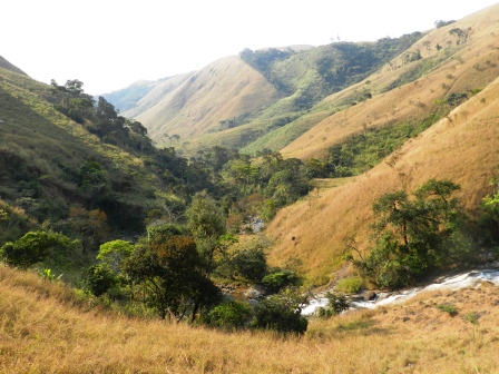 Sarah's adventure New Year’s Eve at Obudu Cattle Ranch