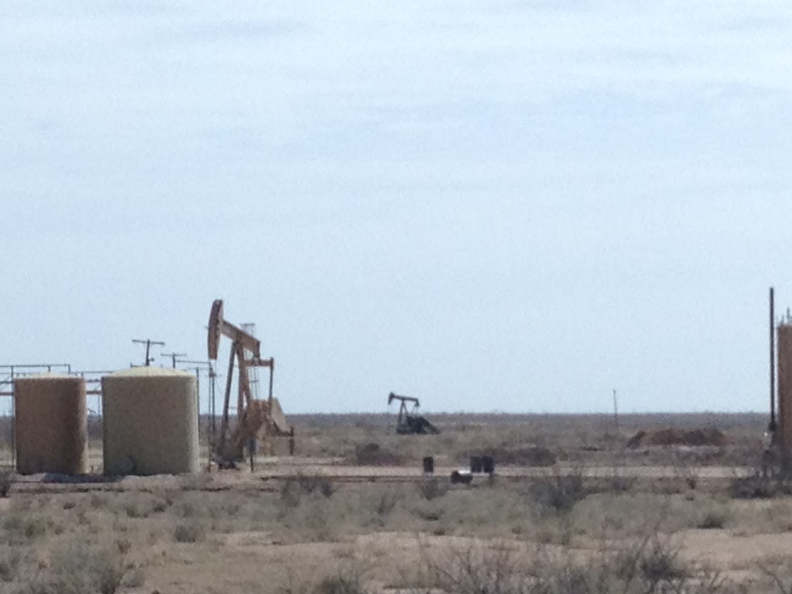 ポパイとオリーブのアメリカ生活１０１ 12