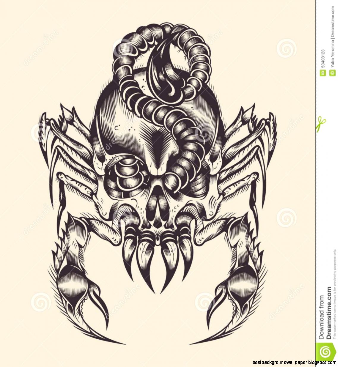 Skull Scorpion Stock Photos Image 4789673 Skull Scorpion Stock Photos Image 4789673