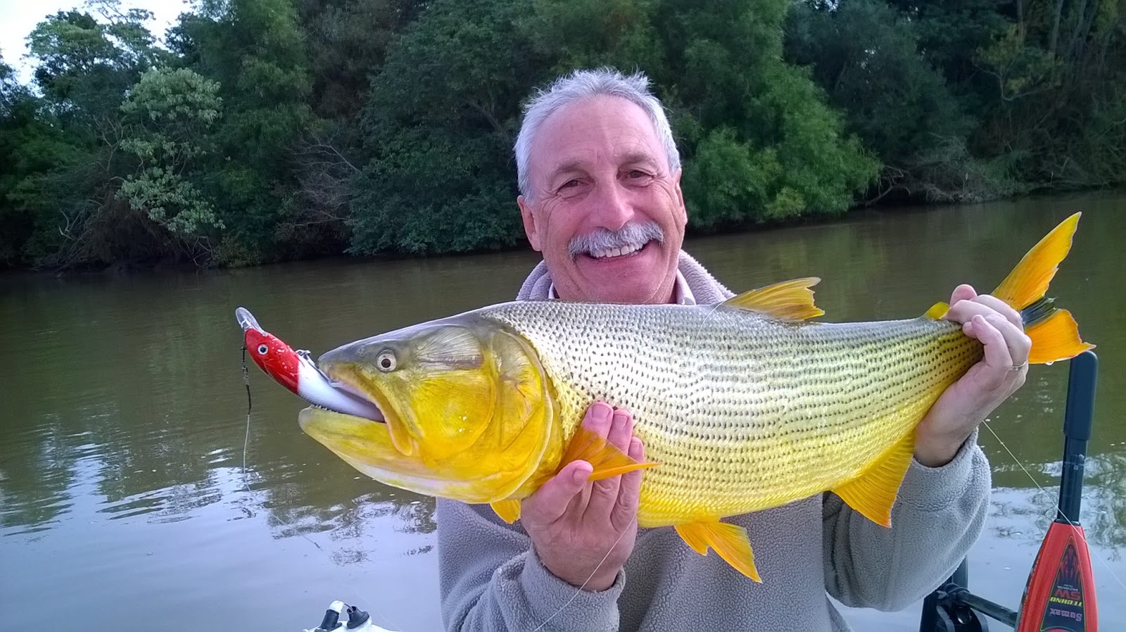 First Cast Fly Fishing Golden Dorado Argentina Buenos Aires Guided
