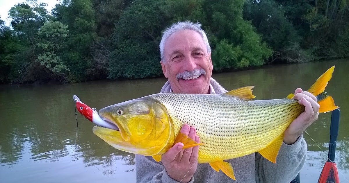First Cast Fly Fishing Golden Dorado Argentina Buenos Aires Guided