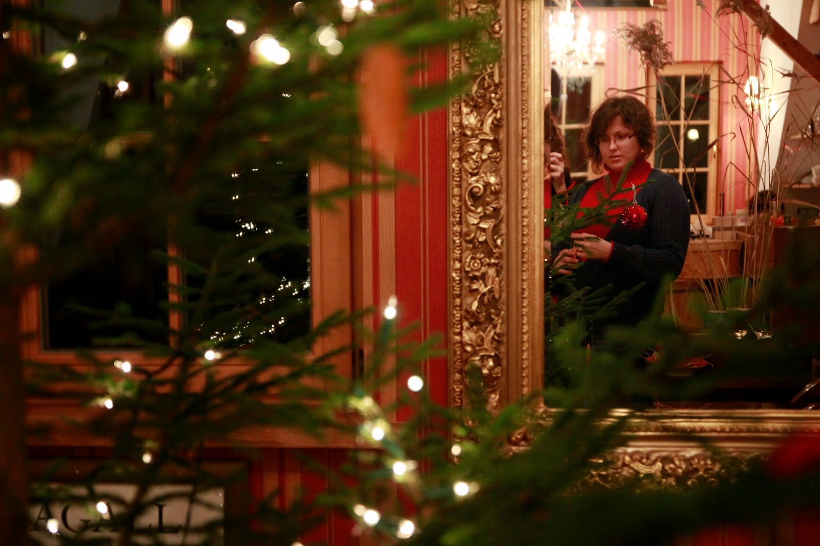 Gwiazdka w Puszczy - Ania w Podróży