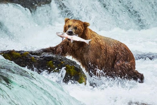 5 Photos Of Alaska Will Blow Your Mind 5 Photos Of Alaska Will Blow Your Mind