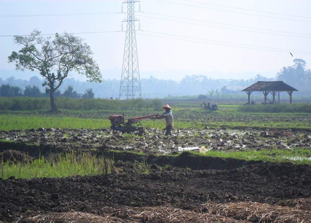 Indonesia Adalah Negara Agraris Indonesia Adalah Negara Agraris Sebuah Kenyataan Atau Pertanyaan