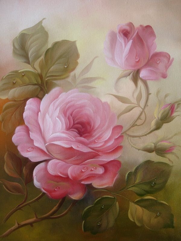 Douglas Frasquetti botanical rose diagram 