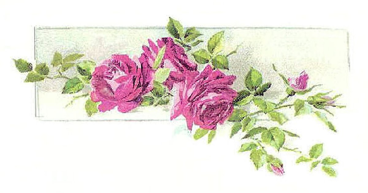 Antique Images: Vintage Flower Clip Art: Pink Rose Illustration from