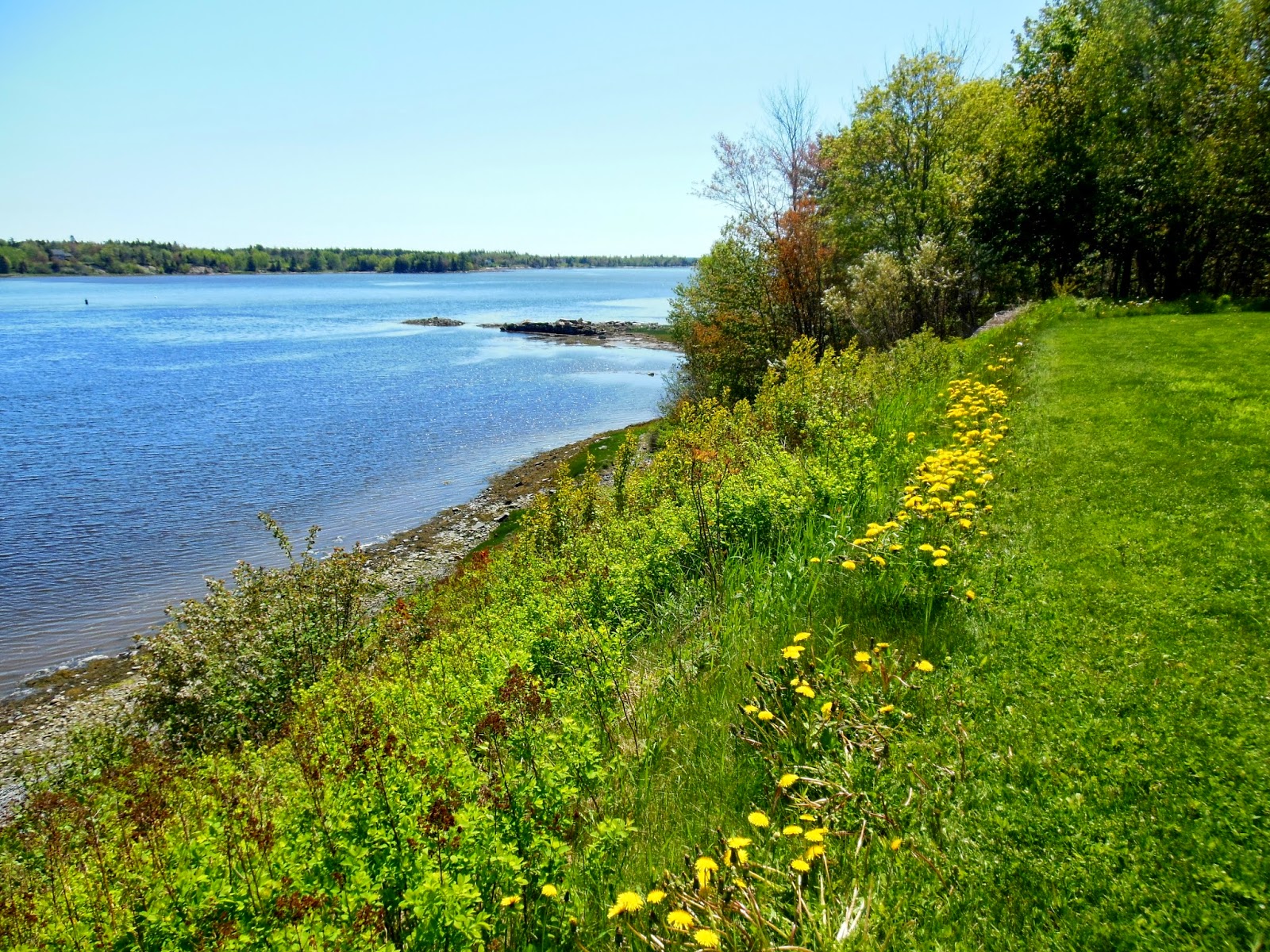 Field Notes and Photos A very short hike in Milbridge, Maine.