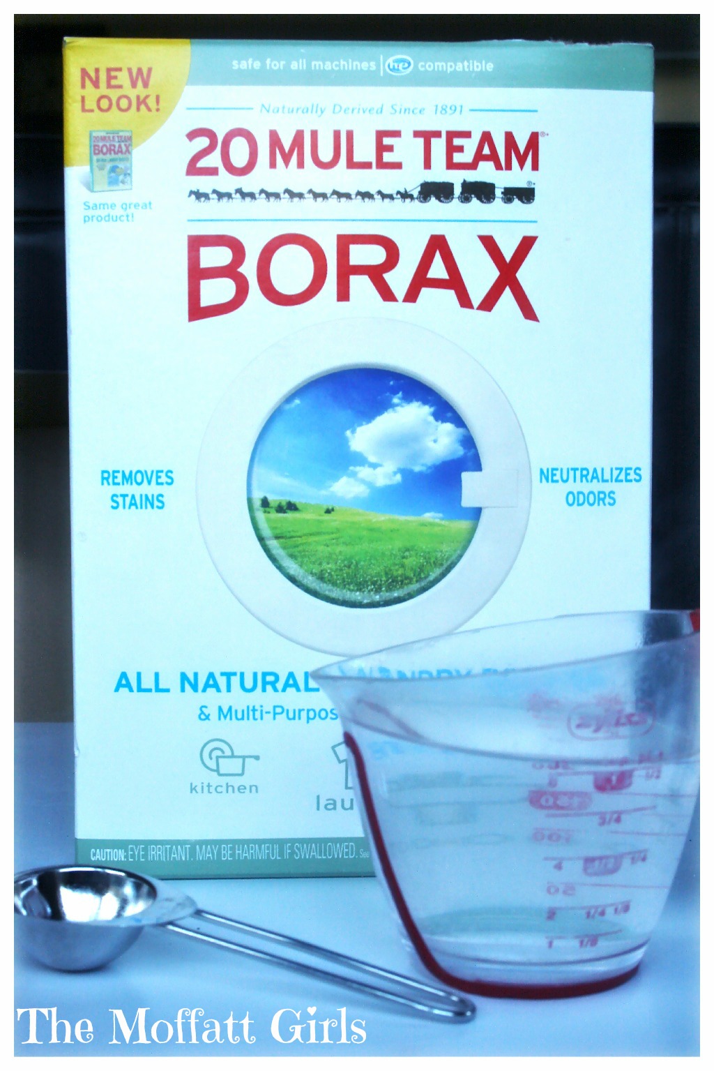 Easy Borax Snowflakes!