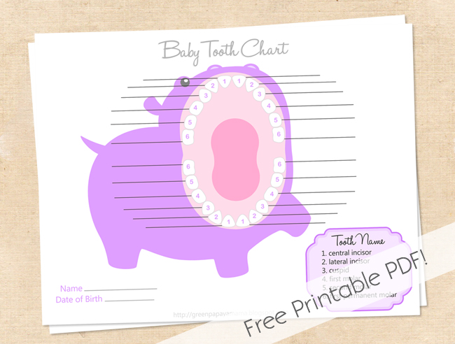 Free Printable Tooth Chart