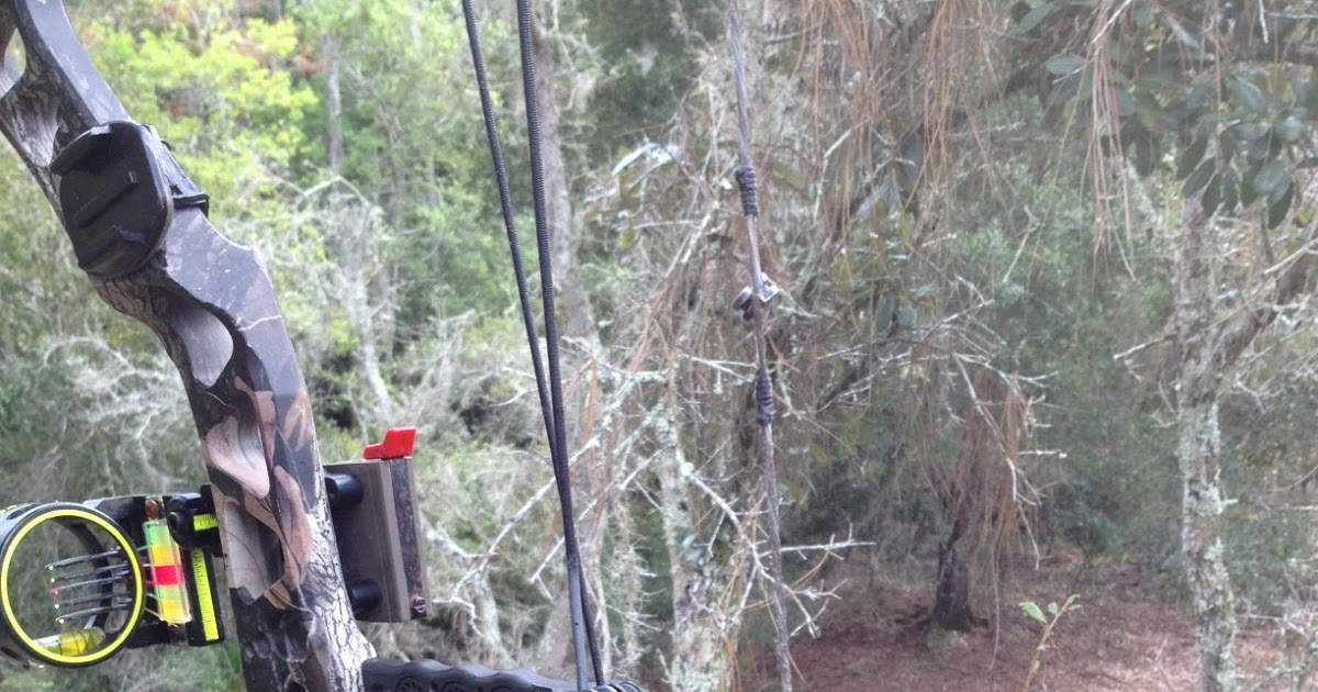 Real Life Outdoors Chassahowitzka Archery Hunt High Waters and Deep