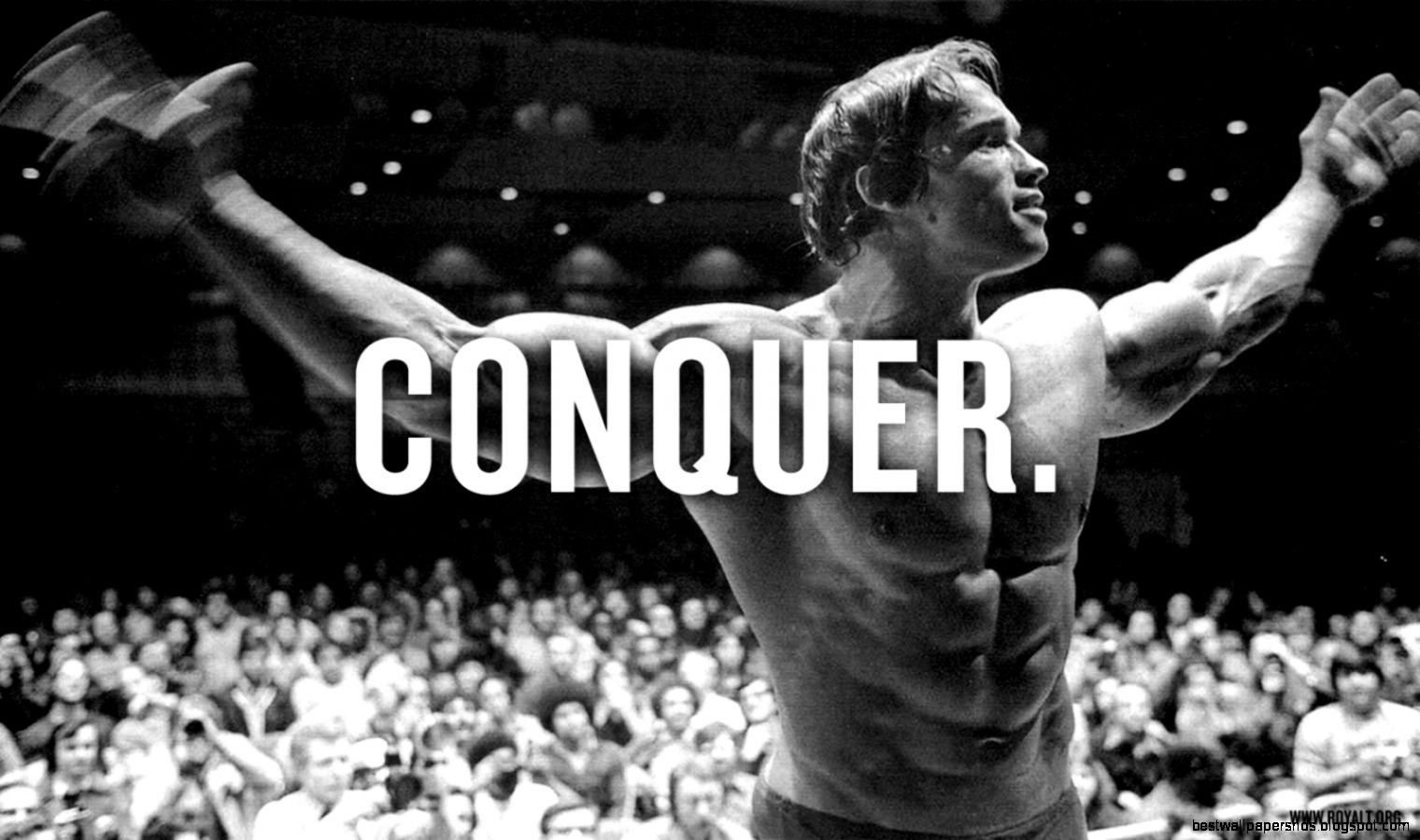 Bodybuilding Wallpapers HD 2015 Wallpaper Cave Bodybuilding Wallpapers HD 2015 Wallpaper Cave