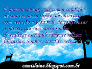 Frases para refletir 5. Postado por camila bittencourt às 8/20/2012 04:03:00 . (natureza )