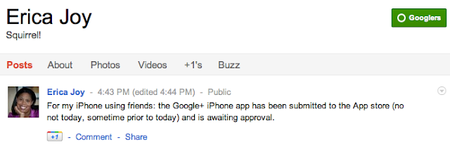 Google+ iOS App Is Awaiting Approval From Apple [Confirmed]