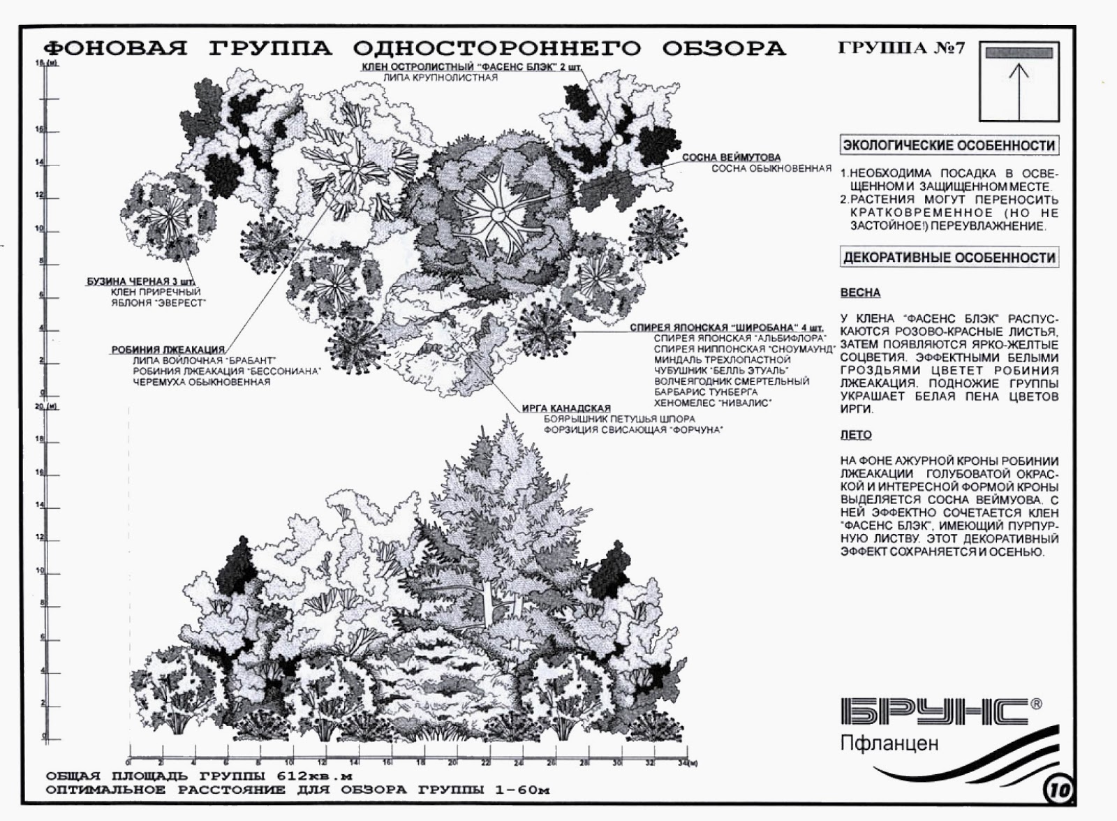 Пшеница сорт дарья Пшеница сорт дарья