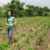 Aloe Vera Plant Cultivation | Aloe Vera Plant Growing Tips