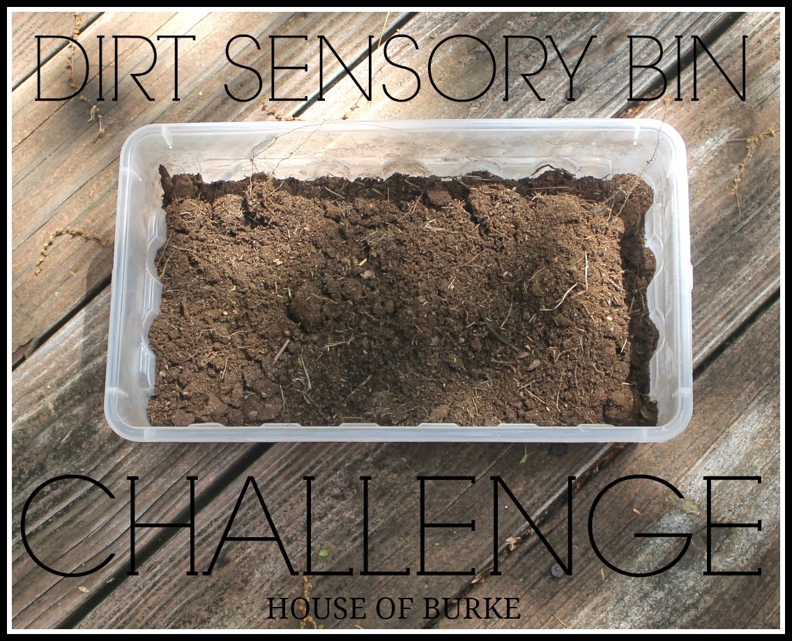 House of Burke Dirt Sensory Bin Challenge