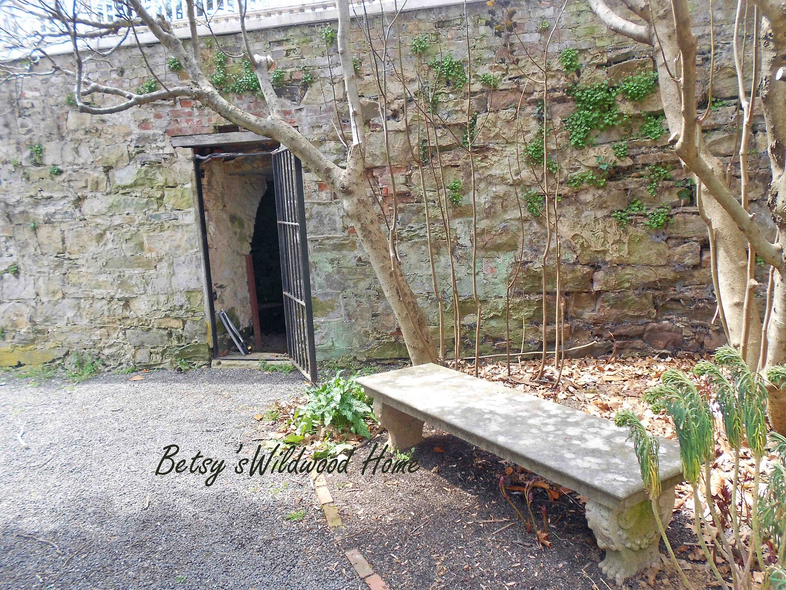 Betsy's Wildwood Home Oatlands Plantation In Leesburg Va