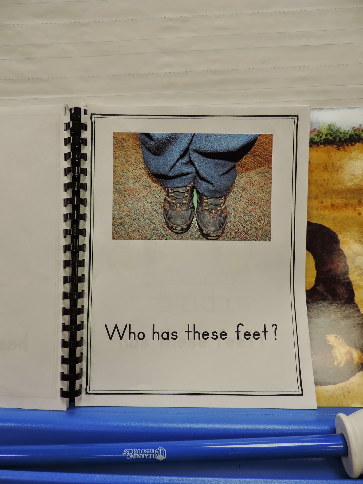 Teaching Minds Reaching Hearts Who Has These Feet? Class Book FREEBIE