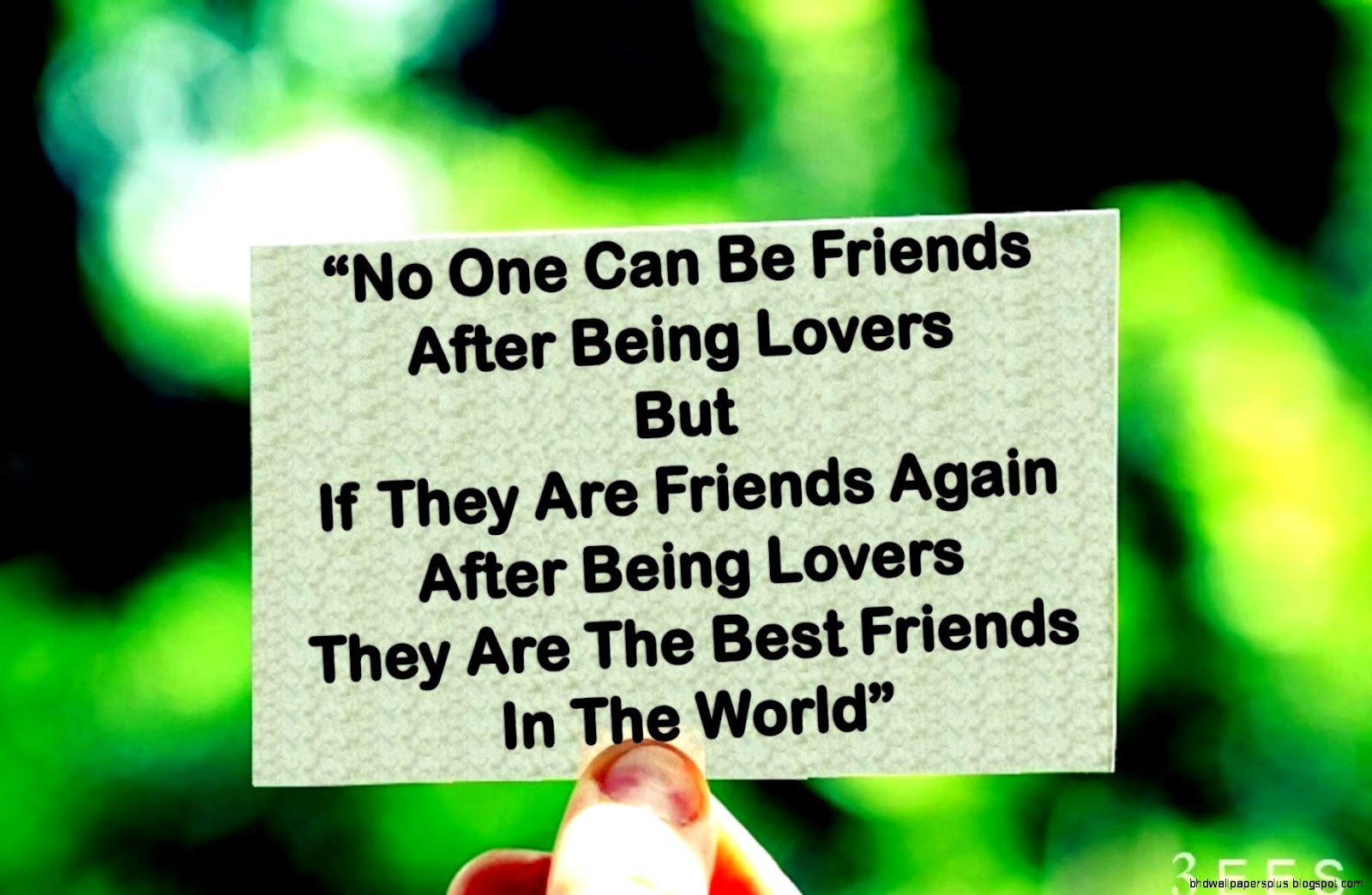 Cute Quotes About Friendship Cute Quotes About Friendship