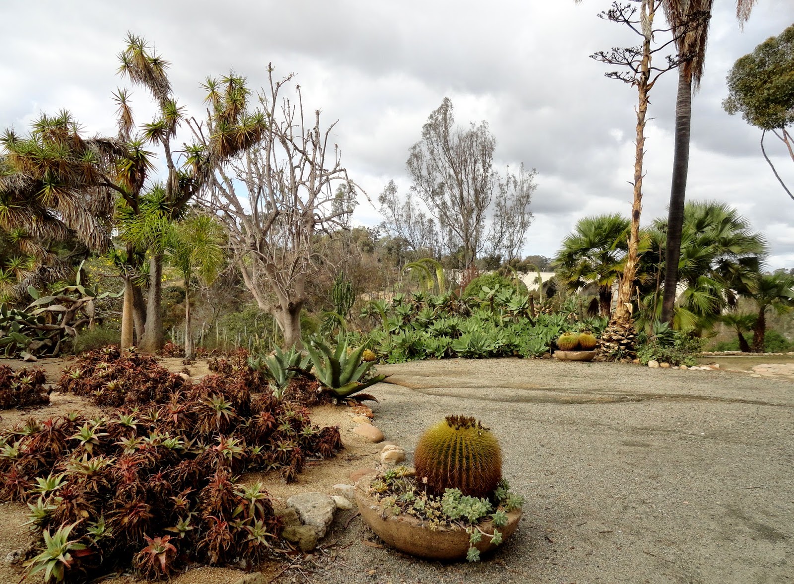 danger garden The Old Cactus Garden at Balboa Park